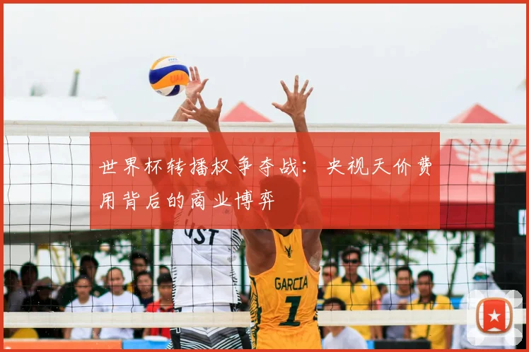 世界杯转播权争夺战：央视天价费用背后的商业博弈