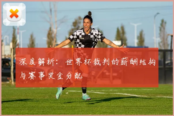深度解析：世界杯裁判的薪酬结构与赛事奖金分配