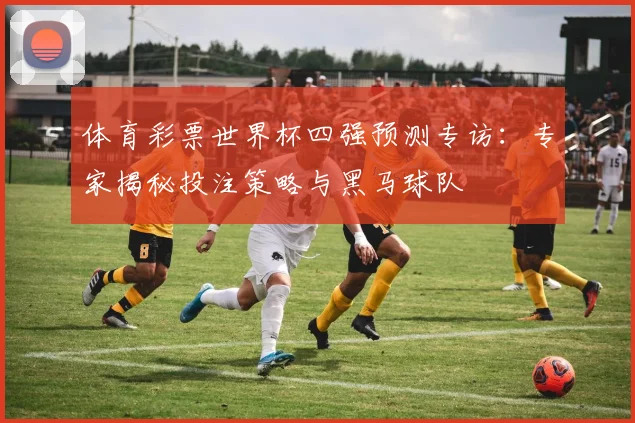 体育彩票世界杯四强预测专访：专家揭秘投注策略与黑马球队