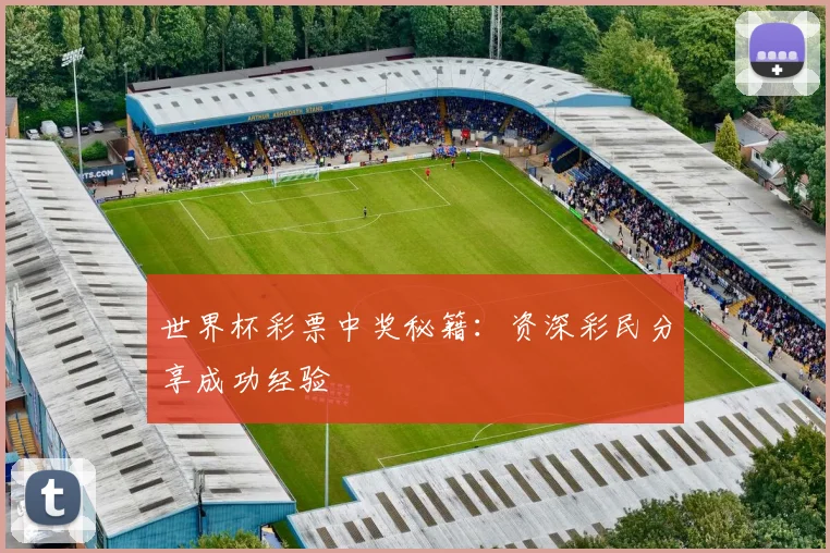 世界杯彩票中奖秘籍:资深彩民分享成功经验