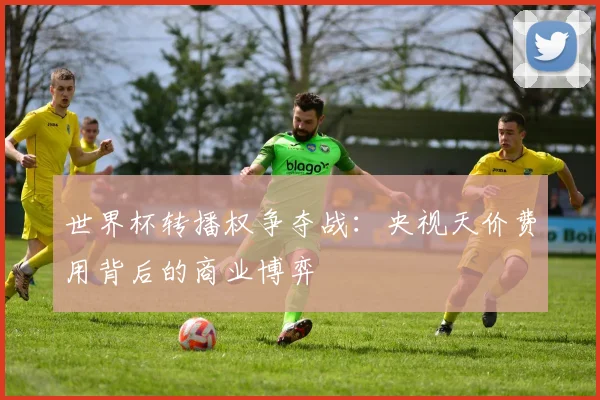 世界杯转播权争夺战：央视天价费用背后的商业博弈